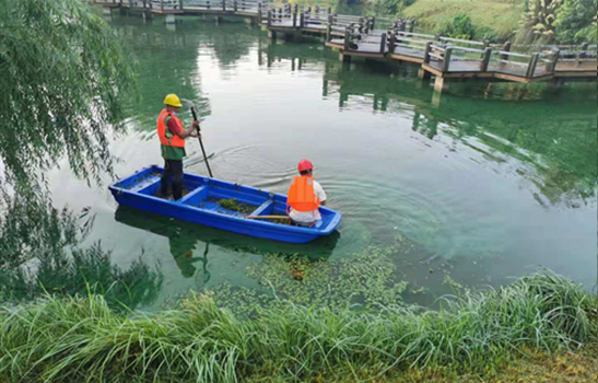 河湖水體藍藻解決方案